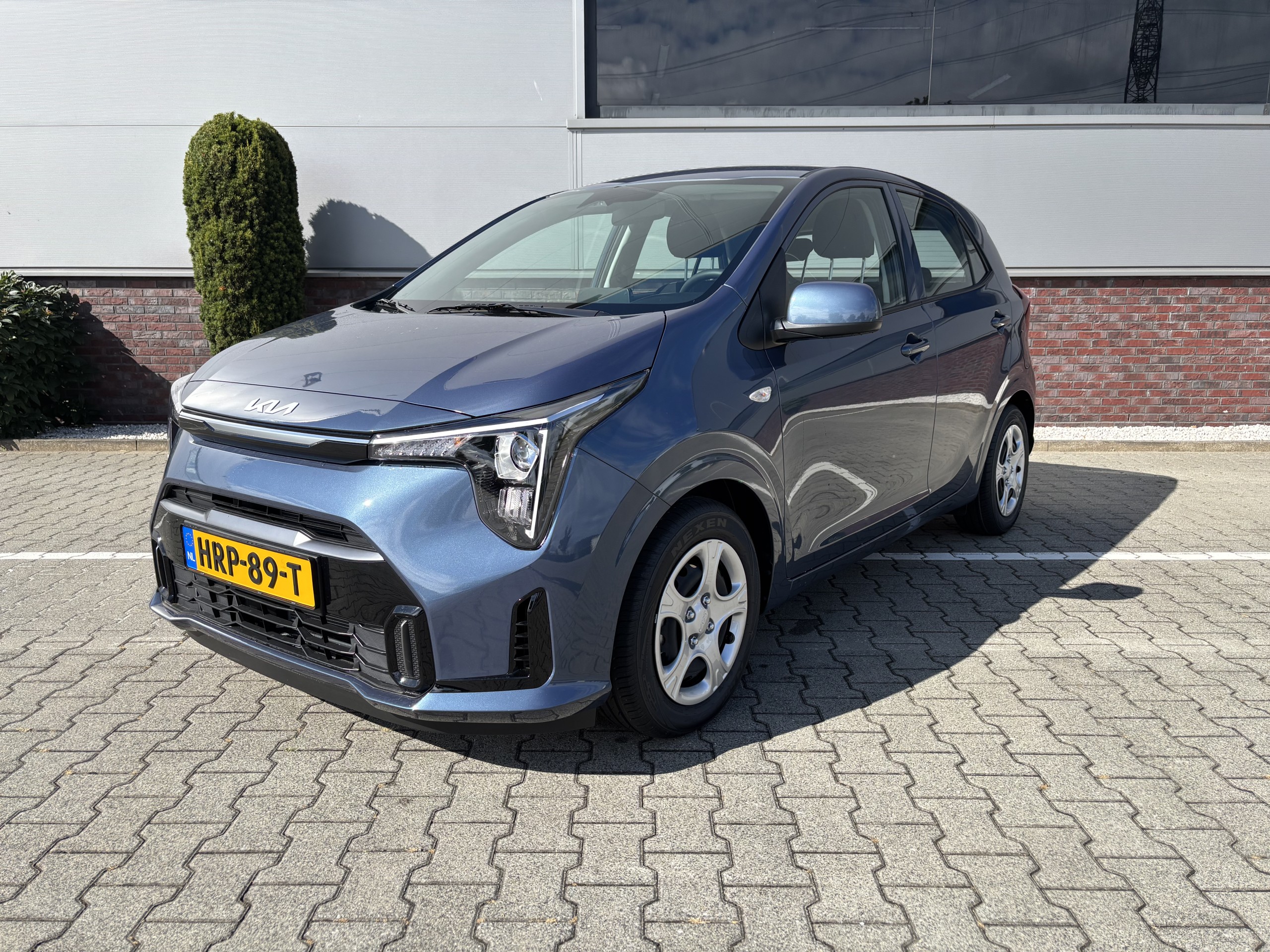 Kia Picanto | 1.0 DPI DynamicLine (2025)