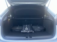 Mercedes Benz | A-Klasse 250e Business Solution AMG