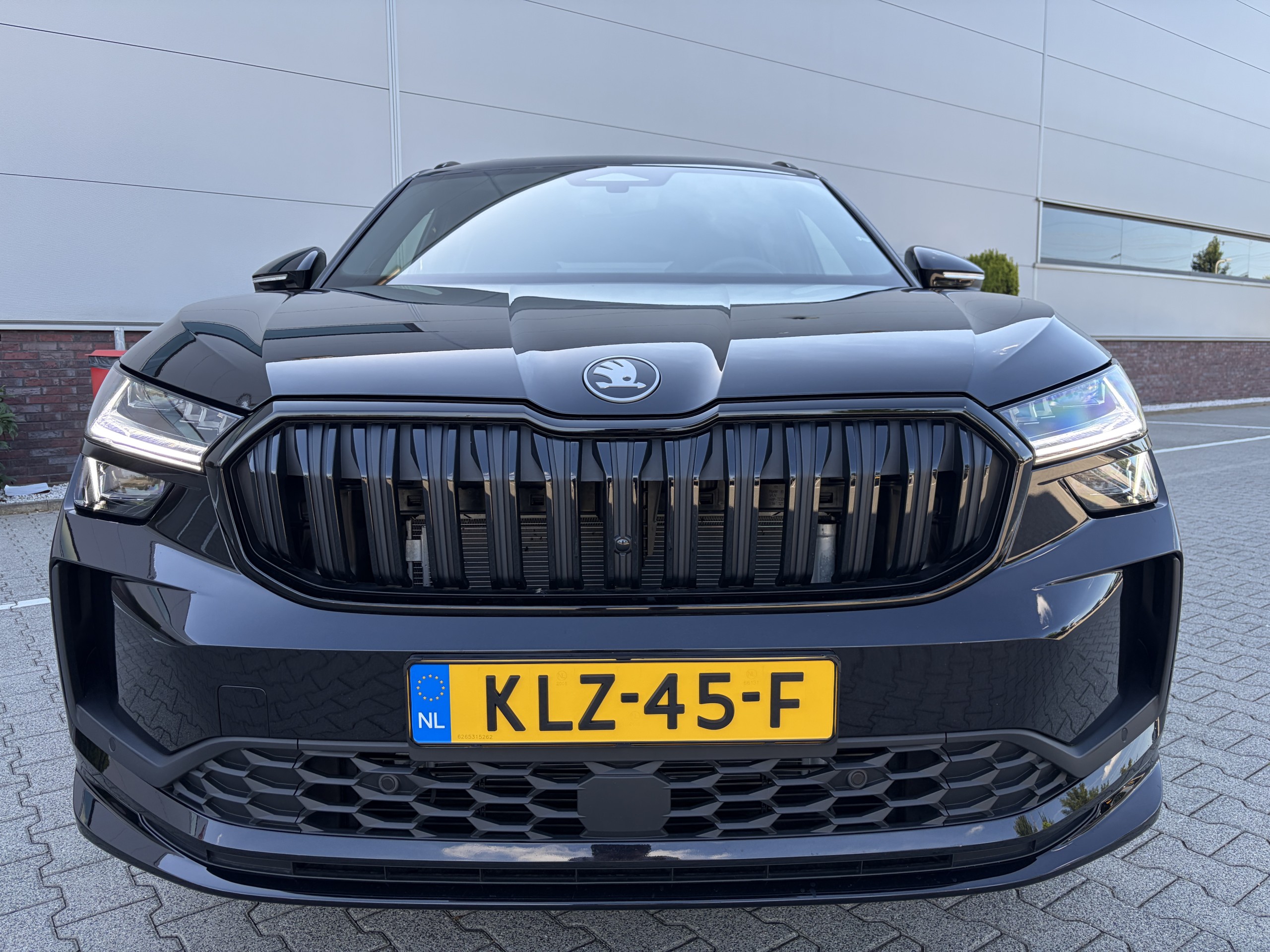 Skoda Kodiaq | 1.5 TSI MHEV Sportline Business 7p